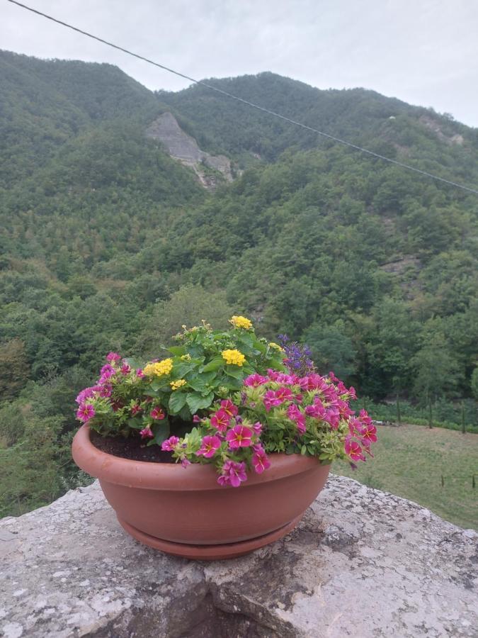 B&B Donnini Фиренцуола Экстерьер фото