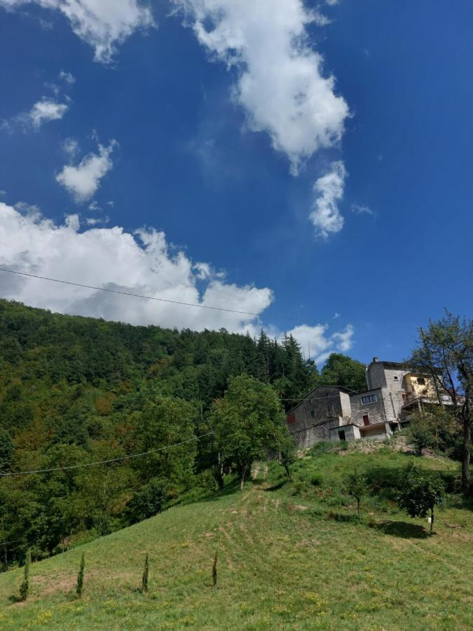 B&B Donnini Фиренцуола Экстерьер фото